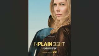 In Plain Sight (2008) Review