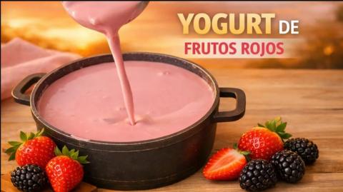 Yogurt de Frutos Rojos Casero 🍓✨ _ Receta Fácil y Cremosa