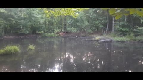 Snares and Traps Part 31 - Mgtow