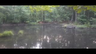 Snares and Traps Part 31 - Mgtow