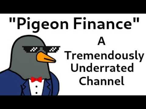 Pigeon Finance: A Great Finance Channel for Beginners
