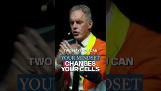 Your mindset changes your cells