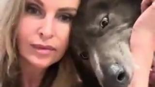 WOLF BITES GIRL - He wanted to show her something really important