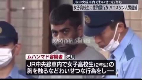 Goat fucker currycel raping in Japan.
