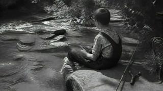 15 Forgotten Skills Every 1950s Boy Mastered Before 12 by America's Forgotten Fathers