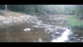 Snares and Traps Part 32 - Mgtow