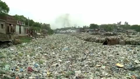 Disgusting Shit Skins - The POLLUTION of India - By the people of India
