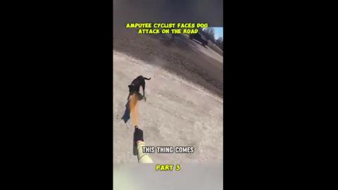 An amputee cyclist, constantly chased by dogs in the neighborhood he rides through