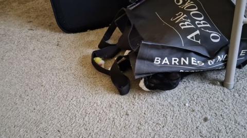 Chomusuke Laying Under A Bag