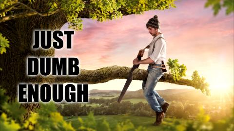 Dumb Just Doesn't Do It