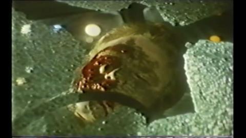 Without Due Care (London Met Police Doc) 1974