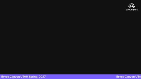 Oh No...Another Drunk Chick: Hamster in the Afternoon Stream
