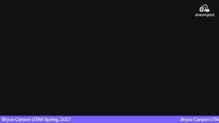 Oh No...Another Drunk Chick: Hamster in the Afternoon Stream