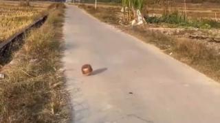 Chinese pan and explosive expirement!