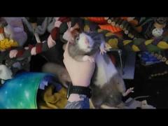 Rodents Are in Charge of LA, Also There is A Rat Problem