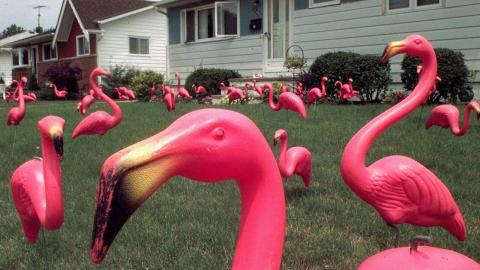 Does Terrence Popps have a thing for Pink Concrete Flamingos? Apparently So.