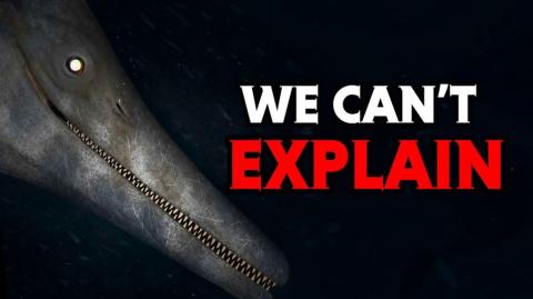 The Most Terrifying Ocean Cryptids That Might Actually Exist
