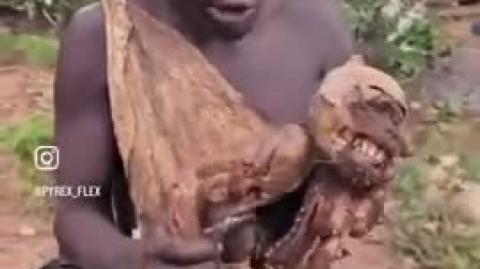 NIGGER RAT GETS SOME NASTY BLOOD DISEASE FROM THAT UNFORTUNATE MONKEY