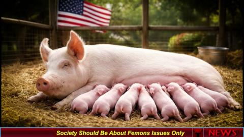 Society Should Be About Femons Issues Only