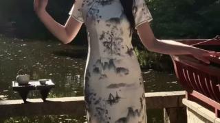 New Chinese Style Spring Summer Qipao Dress with Elegant Traditional-Inspired Design