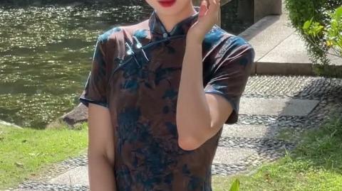 Women's Vintage Purple Velvet Floral Qipao Dress – Elegant Chinese Cheongsam