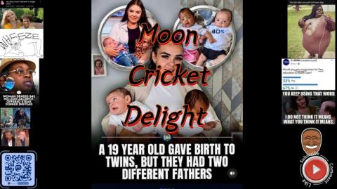Moon Cricket Delight