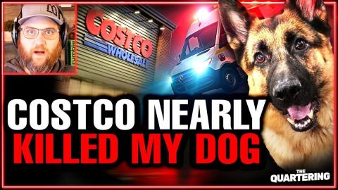 Costco Nearly Killed My Dog