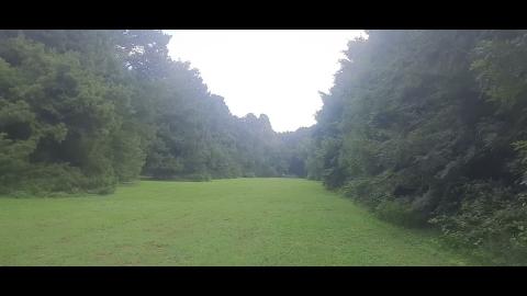 Self-inflicted Part 68 - Mgtow