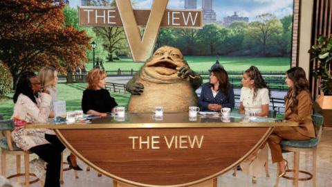 Fat Head Rosie O’Donnell confirms Season 30 return to ‘The View’