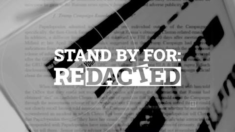 AI will end government as we know it and it will start with the books | Redacted