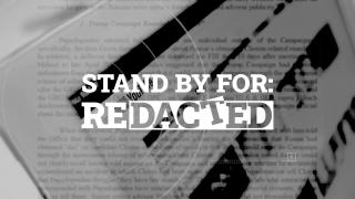 AI will end government as we know it and it will start with the books | Redacted