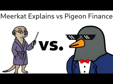 Meerkat Explains vs. Pigeon Finance