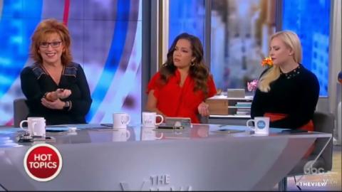 The View Continues its HATE Mission Against De HuWhites!