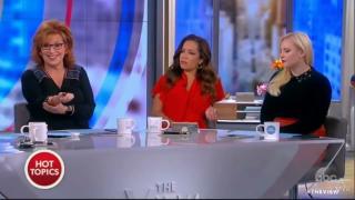 The View Continues its HATE Mission Against De HuWhites!