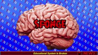 Educational System Is Broken