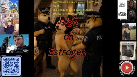 High on Estrogen