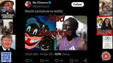 Mad Monkeys