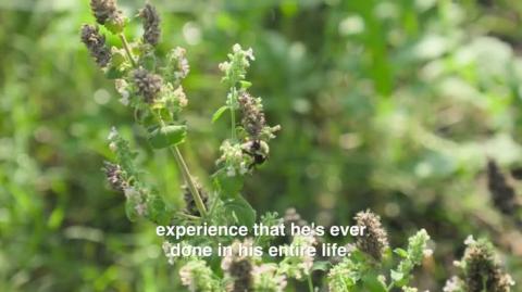 My 70-Year-Old Dad Turned His Lawn Into A Food Forest