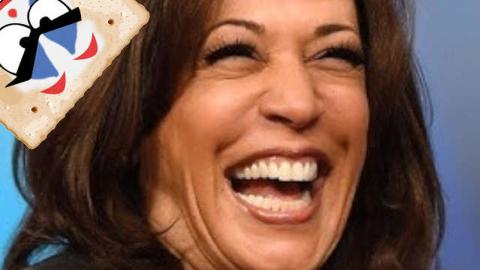 She's Back ReeEEestream 09-22-26
