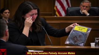 Why Do Females Falsely Accuse Males