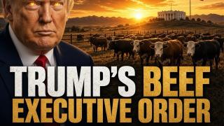 EXCLUSIVE: The Meat Packing Monopoly Is Consciously Trying To Destroy The Beef Industry!