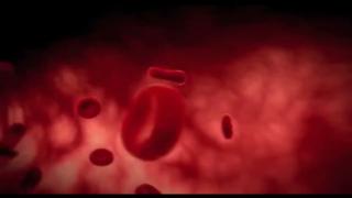 Serpent Seed and the Seed War - Part 6 - NOAHIDE LAWS by Laura Baker