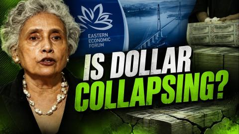 Problems and contradictions within dollar system may cause it to collapse — economist