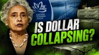 Problems and contradictions within dollar system may cause it to collapse — economist