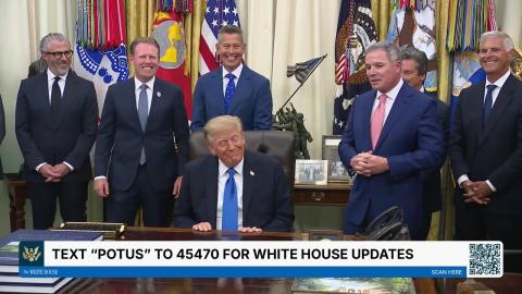 President Trump Meets with U.S. Travel Executives