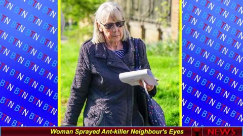 Woman Sprayed Ant-killer Neighbour's Eyes