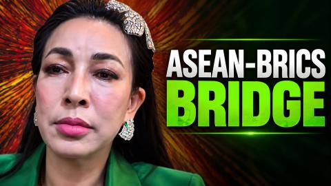 Vietnam Sees BRICS as a Chance to Expand Its Options, Not Pick Sides — Duong Thu Huong