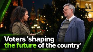 High voter turnout proves Russia is a democracy — professor