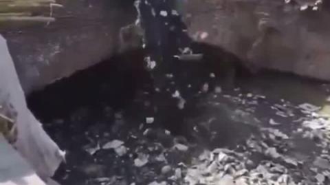 Pakkis Taking Out The Garbage