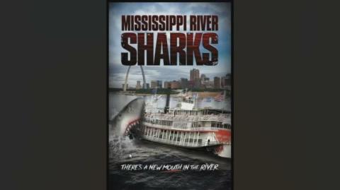 Mississippi River Sharks Review